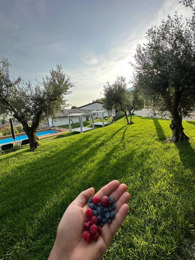 Agriturismo Maison 1933 Caprino Veronese Esterno foto